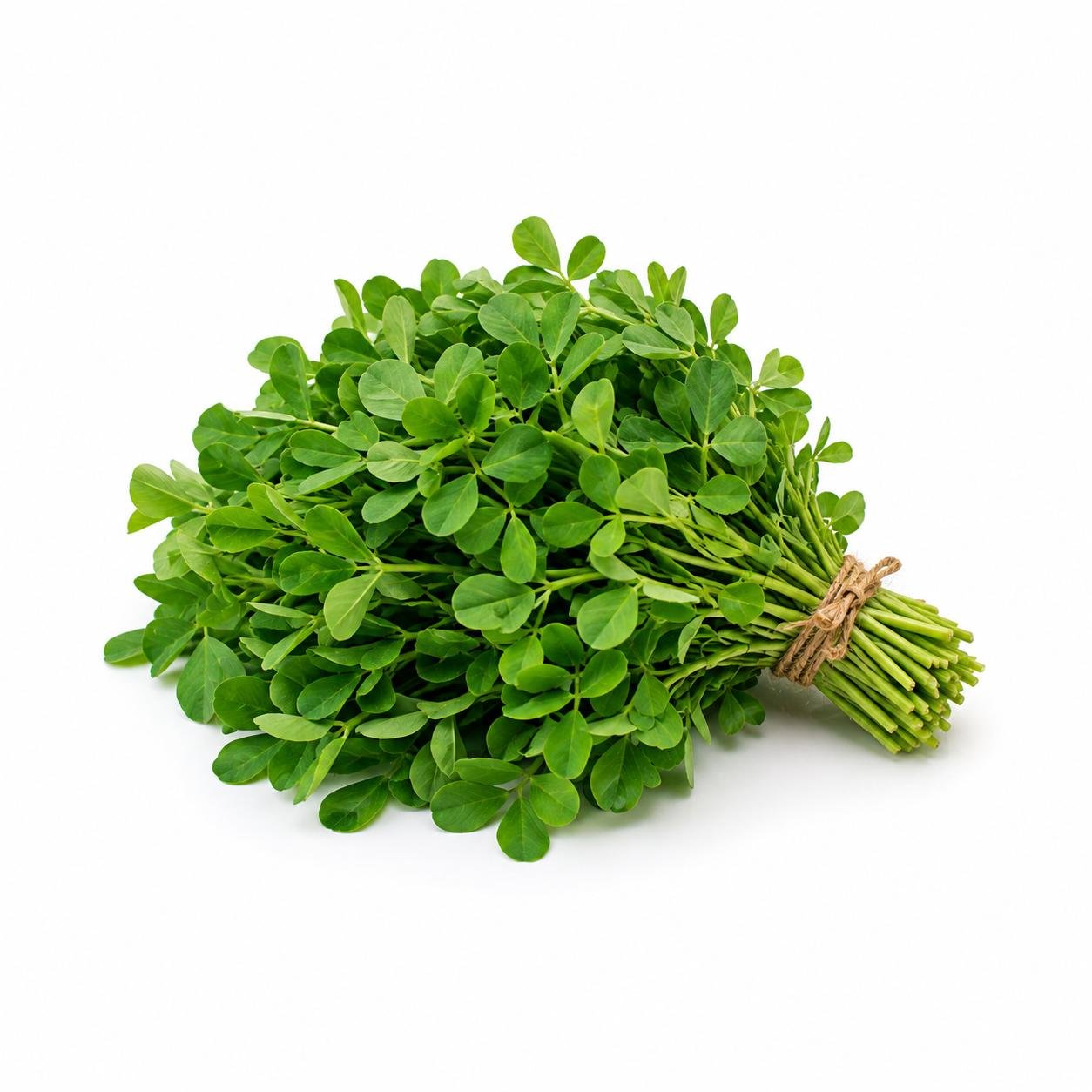Fenugreek (Methi)